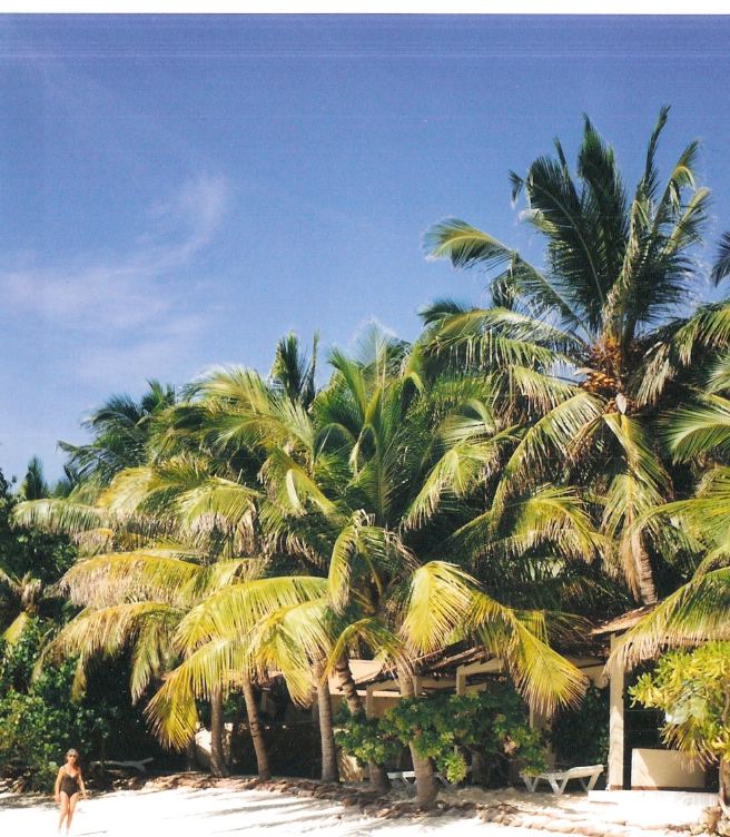 Malediven - Summer Island