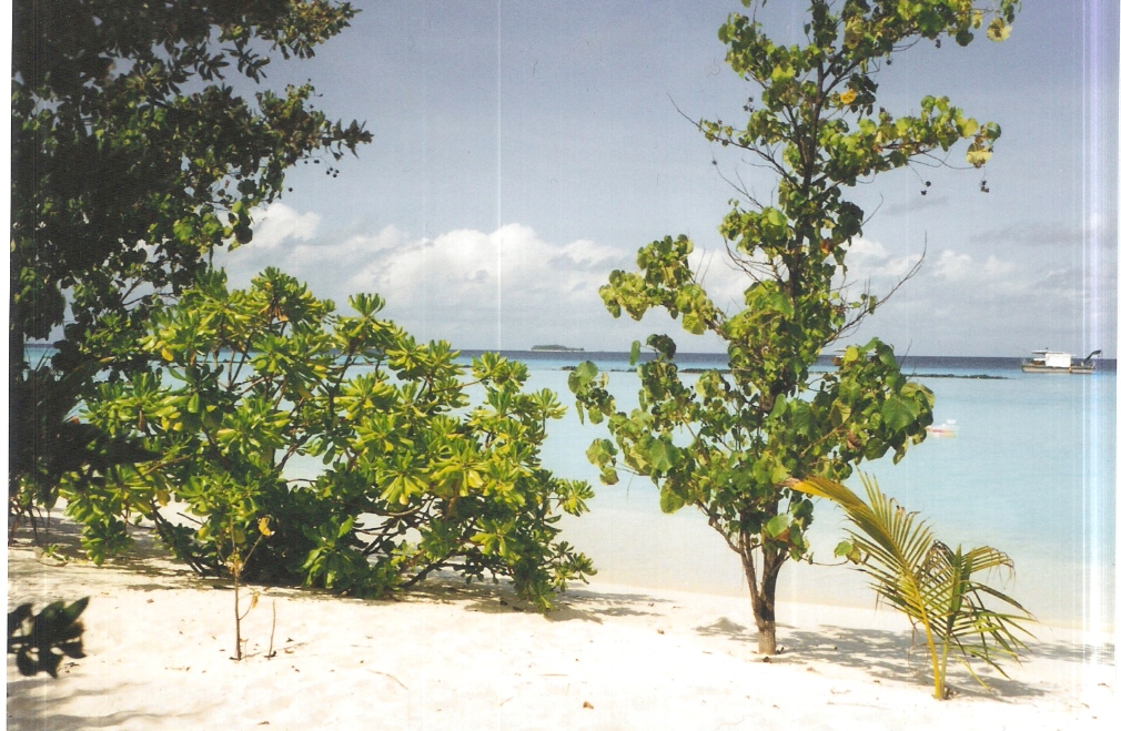 Malediven - Summer Island