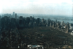 Foto aus dem Heli über dem Central Park